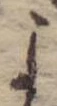 미지정 위치 확인됨