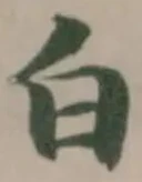 位置定マレル白