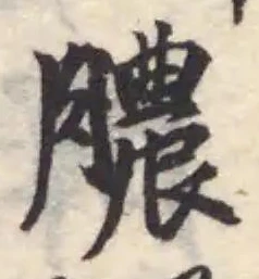 已定位膿