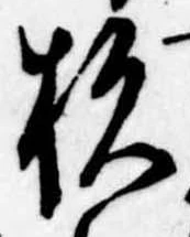 位置定マレル杉