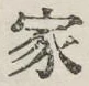 글자 家