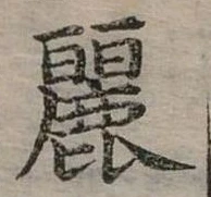 已定位麗