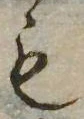 㐌定位𣗓檊