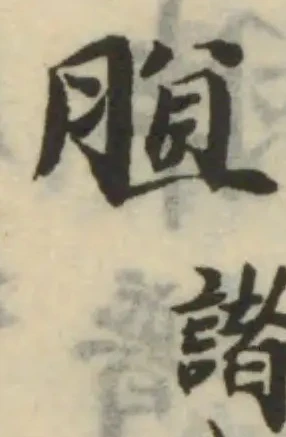 䐈 위치 확인됨