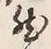 글자 然