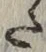 Character た