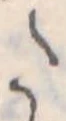 𛁠 위치 확인됨