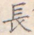 長 위치 확인됨