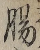 文字腸