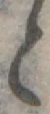 と 위치 확인됨