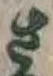 𡨸さ