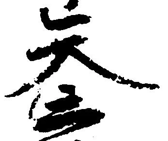 参の位置