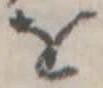 位置定マレル𛄜