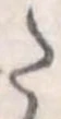 Đã định vị 𛁠