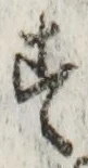 字す