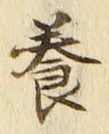 Chữ 養