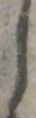 𛁅 위치 확인됨
