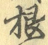 根 위치 확인됨
