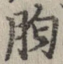 㐌定位胸