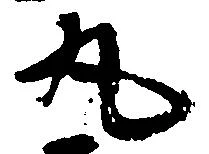 已定位丸