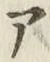 글자 ア