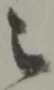 之 위치 확인됨