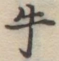 牛 위치 확인됨