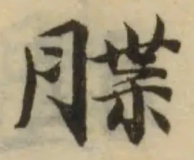 䐑 위치 확인됨