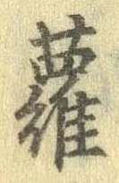 羅 위치 확인됨