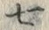 文字七