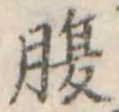 腹 위치 확인됨