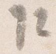 Đã định vị 乍