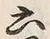 글자 六