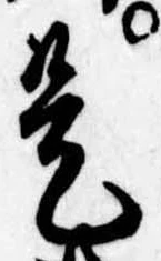已定位是