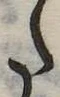 𛁠 위치 확인됨