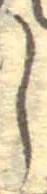 𛁅 위치 확인됨