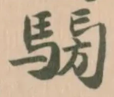 𩤐の位置