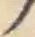 字ノ