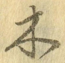 位置 確認된 木