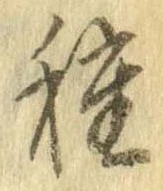已定位種