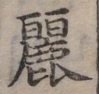 已定位麗