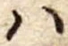 𛂞の位置