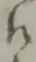 衛 위치 확인됨