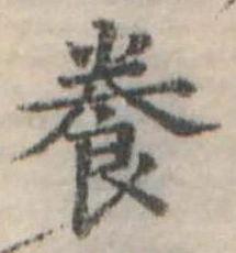 位置定マレル養