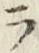 글자 ラ