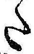 已定位𛁠