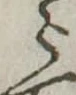 미지정 위치 확인됨