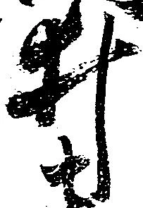 井 위치 확인됨