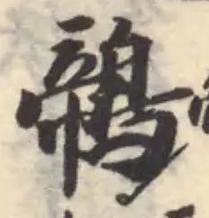 鶙の位置
