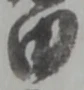 田 위치 확인됨
